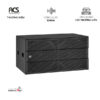 Loa Sub Doi ACS CD-218S