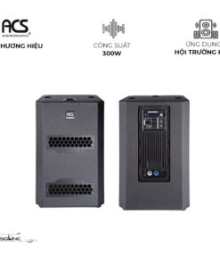 Loa ACS PV-8S