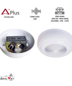 Loa âm trần nổi APlus A-501